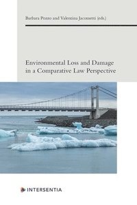 bokomslag Environmental Loss and Damage in a Comparative Law Perspective