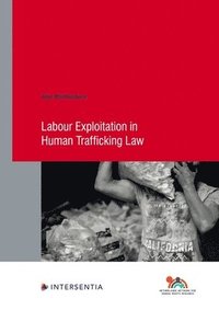 bokomslag Labour Exploitation in Human Trafficking Law