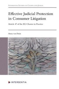 bokomslag Effective Judicial Protection in Consumer Litigation