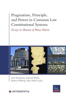 bokomslag Pragmatism, Principle, and Power in Common Law Constitutional Systems