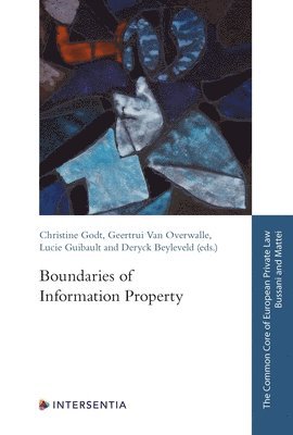 Christine Godt, Geertrui Van Overwalle, Lucie Guibault, Deryck Beyleveld - Boundaries of Information Property, Häftad