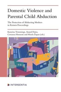 bokomslag Domestic Violence and Parental Child Abduction