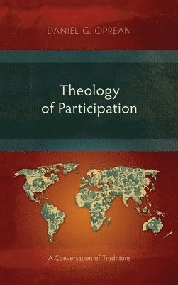 bokomslag Theology of Participation