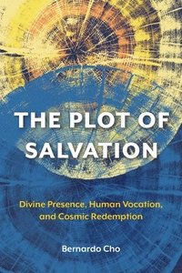 bokomslag The Plot of Salvation