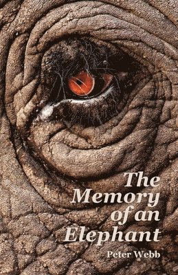 The Memory of an Elephant 1