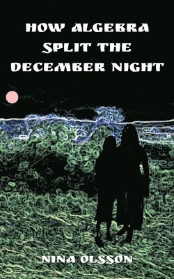 Nina Olsson - How Algebra Split the December Night, Häftad