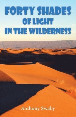 Forty Shades of Light in the Wilderness 1