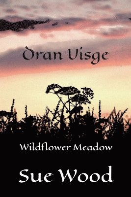 ran Uisge - Wildflower Meadow 1