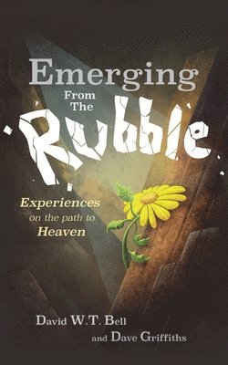 Emerging from the Rubble