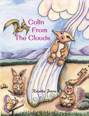 Colin from the Clouds 1