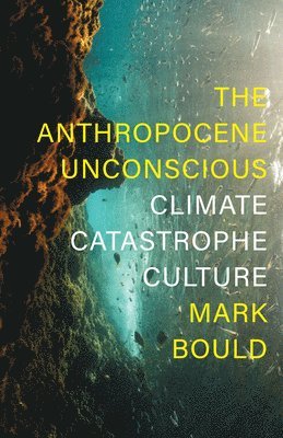 Mark Bould - Anthropocene Unconscious, Inbunden