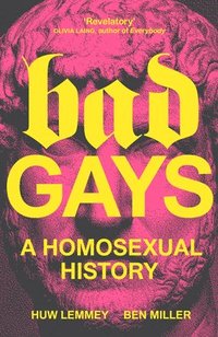 bokomslag Bad Gays