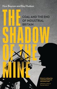 bokomslag The Shadow of the Mine