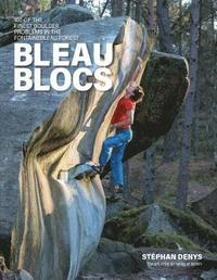 bokomslag Bleau Blocs