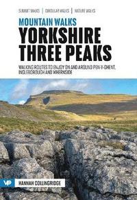 bokomslag Mountain Walks Yorkshire Three Peaks