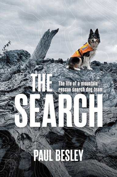 Paul Besley - Search, Häftad