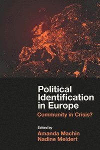 bokomslag Political Identification in Europe