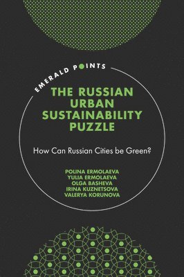 bokomslag The Russian Urban Sustainability Puzzle