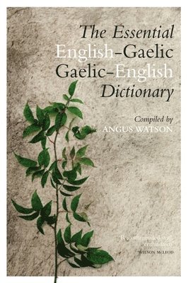 bokomslag Essential Gaelic-English / English-Gaelic Dictionary