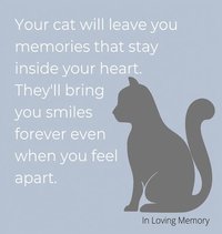 bokomslag Condolence book for cats (hardback cover)