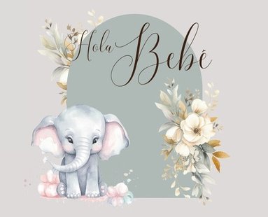 bokomslag Hola, bebé (baby shower)