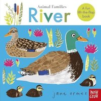 bokomslag Animal Families: River