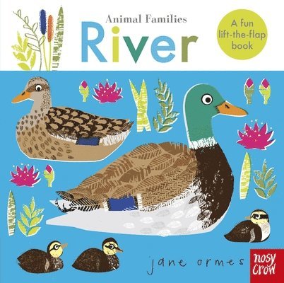 Animal Families: River 1