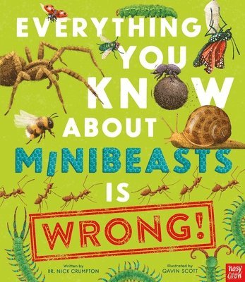 bokomslag Everything You Know About Minibeasts is Wrong!