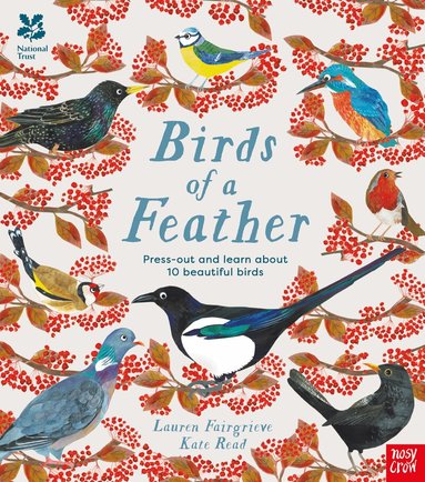 Lauren Fairgrieve - National Trust: Birds of a Feather: Press out and learn about 10 beautiful birds, Inbunden
