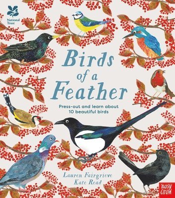 bokomslag National Trust: Birds of a Feather: Press out and learn about 10 beautiful birds