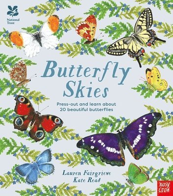 National Trust: Butterfly Skies 1