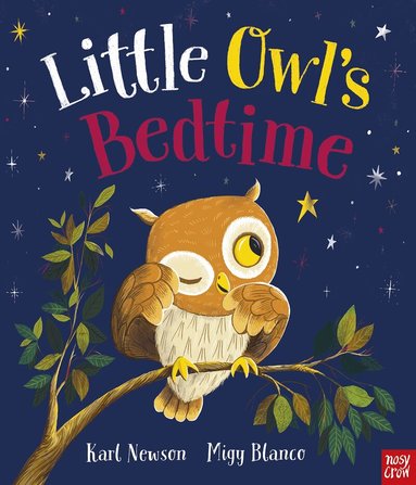 Karl Newson - Little Owl's Bedtime, Häftad