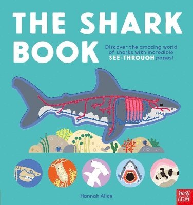 The Shark Book 1