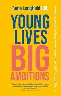 bokomslag Young Lives, Big Ambitions