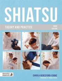 bokomslag Shiatsu Theory and Practice