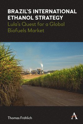 Brazils International Ethanol Strategy 1