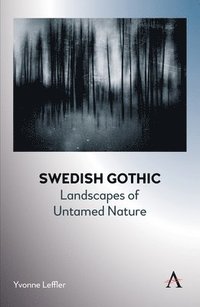 bokomslag Swedish Gothic