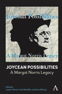bokomslag Joycean Possibilities: A Margot Norris Legacy