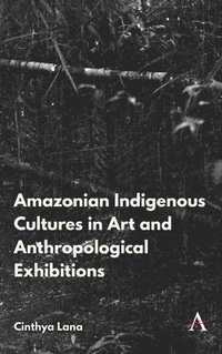 bokomslag Amazonian Indigenous Cultures in Art and Anthropological Exhibitions