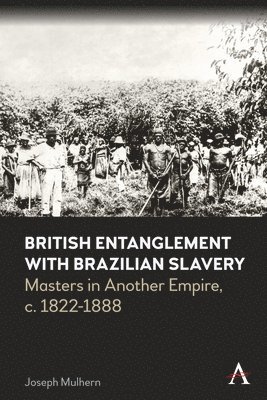 bokomslag British Entanglement with Brazilian Slavery