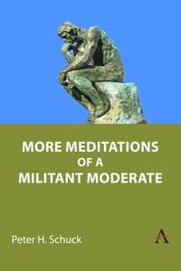 bokomslag More Meditations of a Militant Moderate