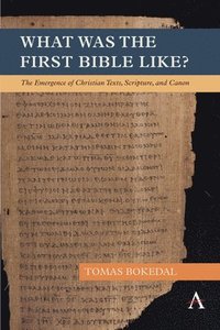 bokomslag What was the First Bible Like?