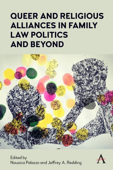 Nausica Palazzo, Jeffrey A. Redding - Queer and Religious Alliances in Family Law Politics and Beyond, Häftad