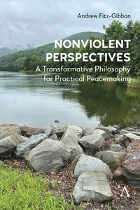 bokomslag Nonviolent Perspectives