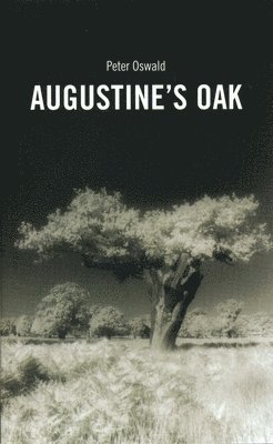 Peter Oswald - Augustine's Oak, Häftad