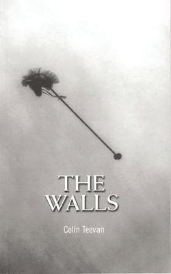 The Walls 1