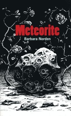 Meteorite 1