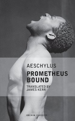 bokomslag Prometheus Bound