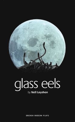 Glass Eels 1
