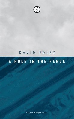A Hole in the Fence 1
